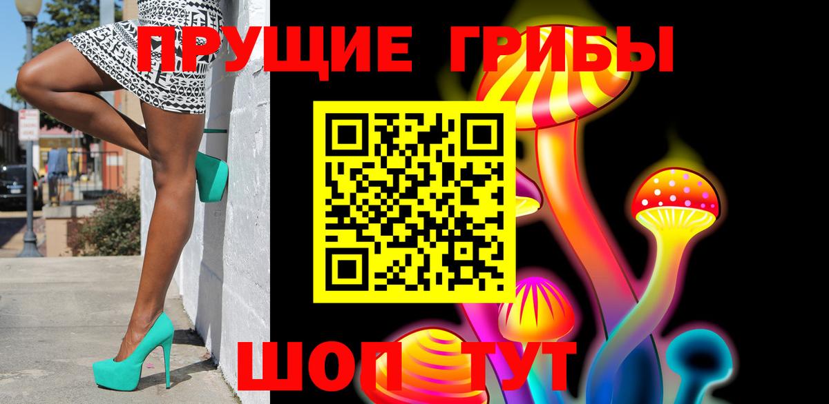 Галлюциногенные грибы Psilocybe Каменка